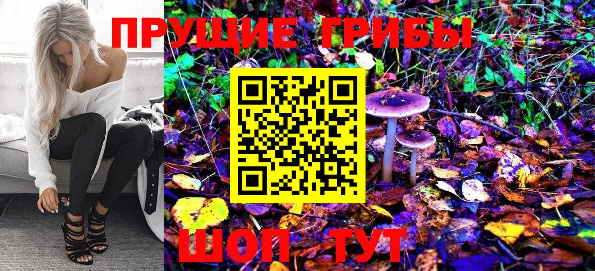 Галлюциногенные грибы GOLDEN TEACHER Шали